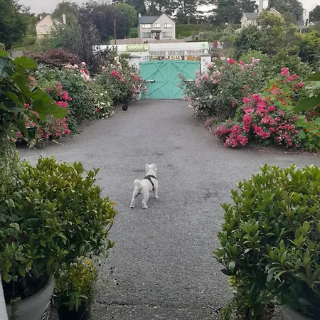 Bed and breakfast Saint Martin's *