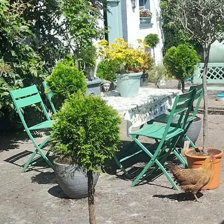 Saint Martin's Бандон