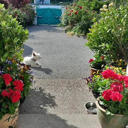 Bed and breakfast Saint Martin's Bandon
