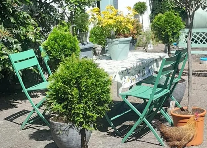 Saint Martin's בנדון