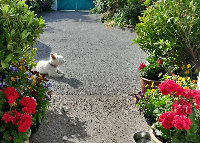 לינה וארוחת בוקר Saint Martin's בנדון