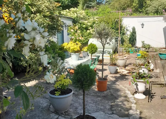 Saint Martin's בנדון